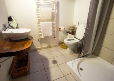 Casa-David_bathroom 2